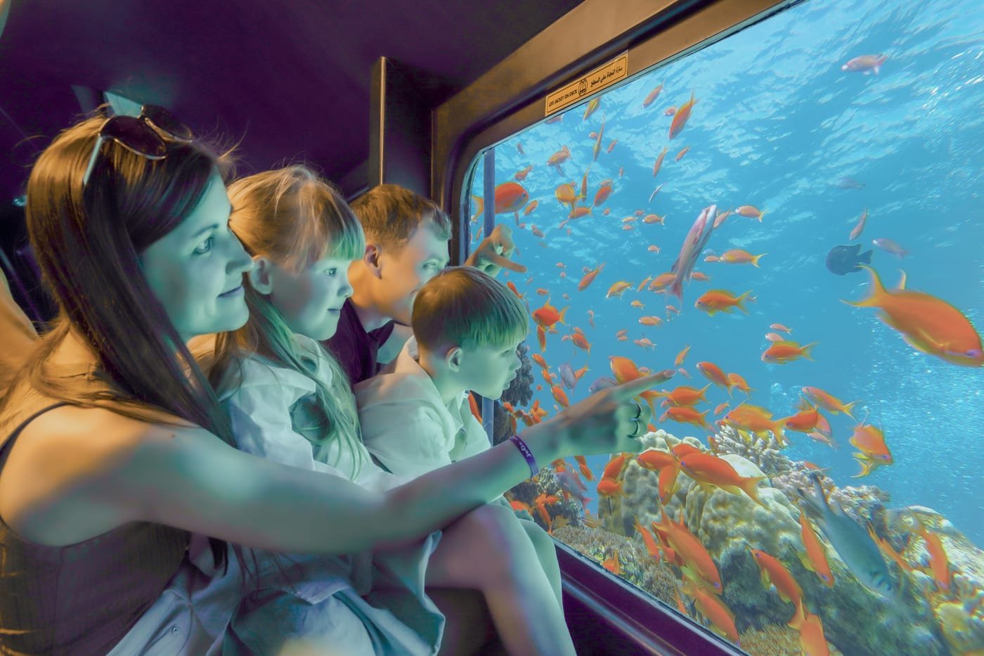 seascope submarine window - Hottest Place in Egypt in December 2026: Red Sea or Nile Valley?