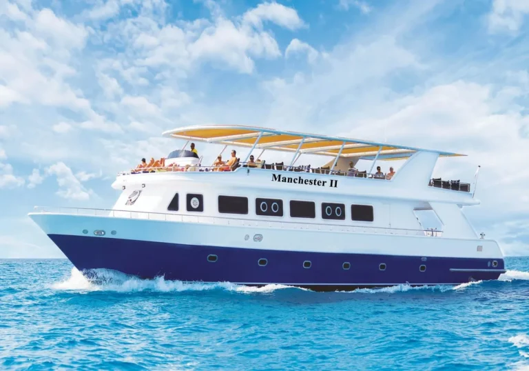 Ain Sokhna Semi-Submarine Reef Tour 2026: Day Trip from Cairo