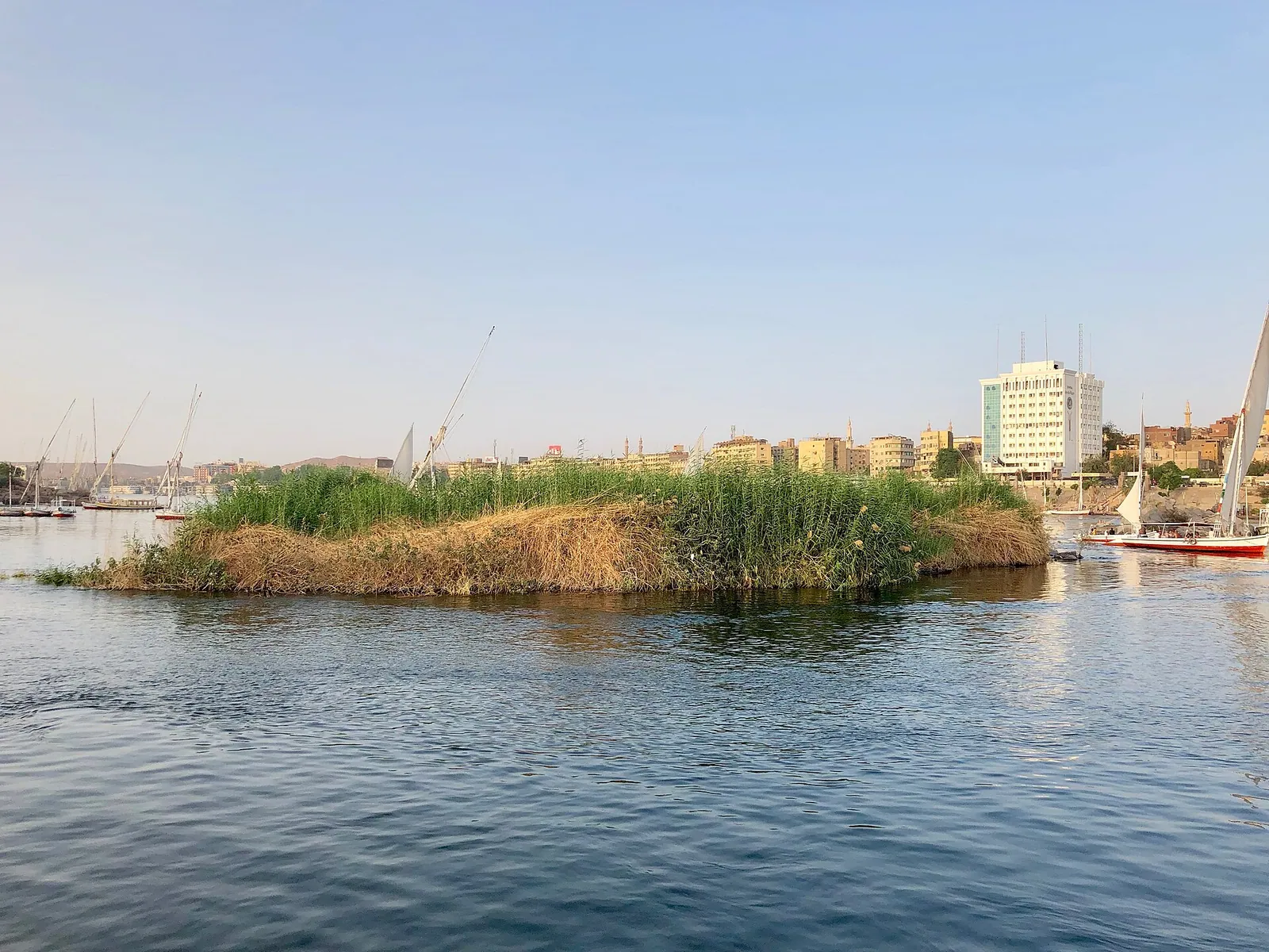 stock free/aswan/aswan 050 grassy island nile river aswan ag egy 4802540 — برنامج سياحي مصر والأردن للخليجيين 2026 | الأ