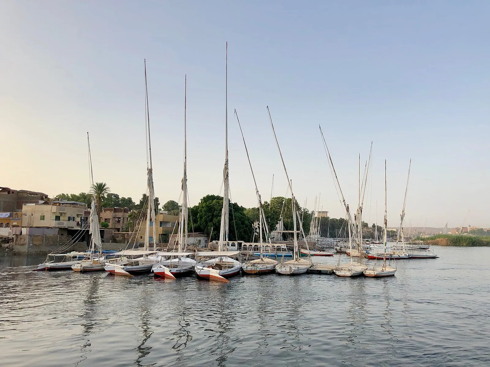 stock free/aswan/aswan 056 sailboats elephantine island aswan ag egy 480 - Egypt 7-Day Itinerary for First-Time Visitors