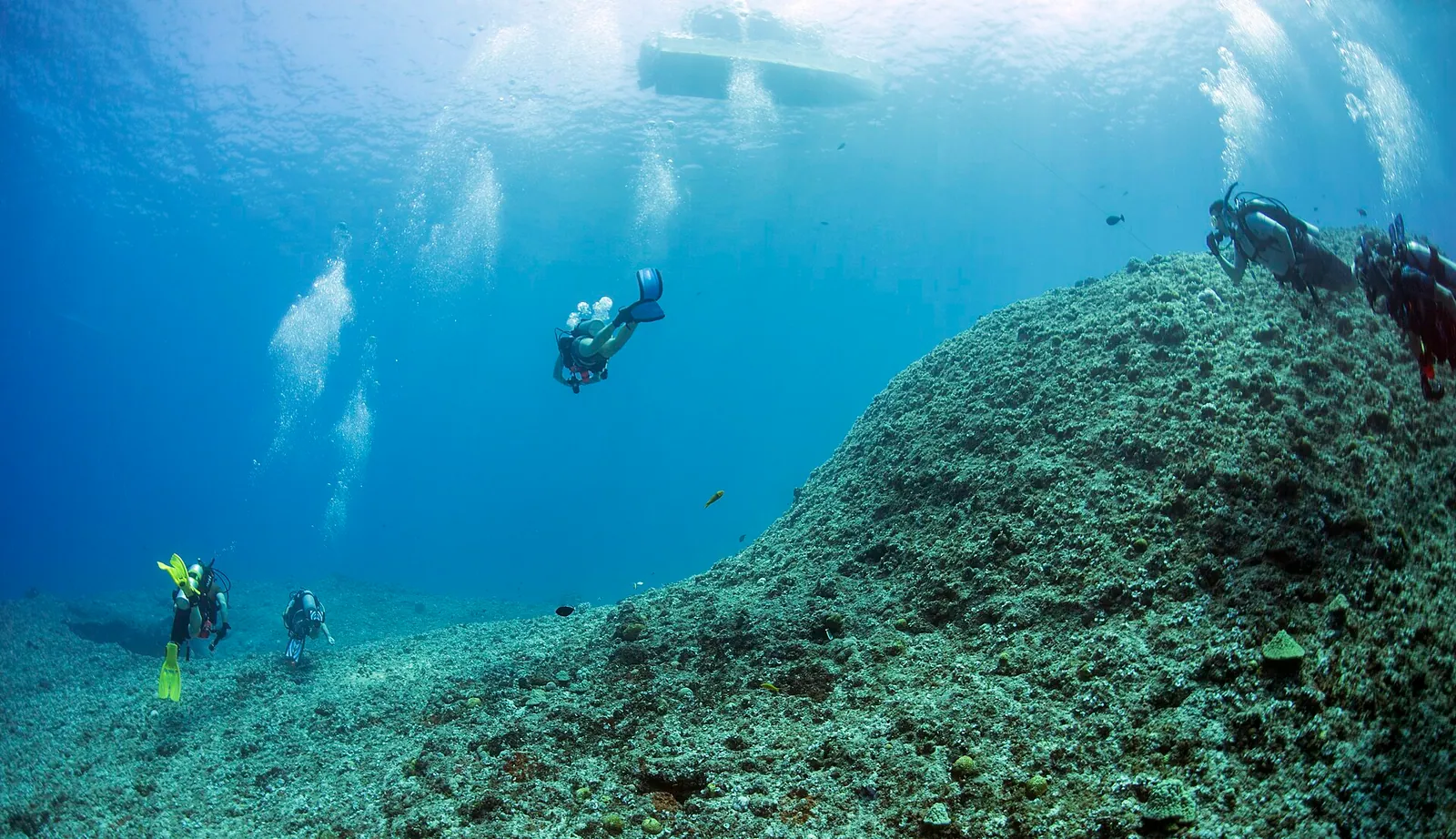stock free/dahab/dahab 006 blue hole guam 38973926660 - Egypt Desert Tour 2026: White Desert Overnight vs Siwa Oasis