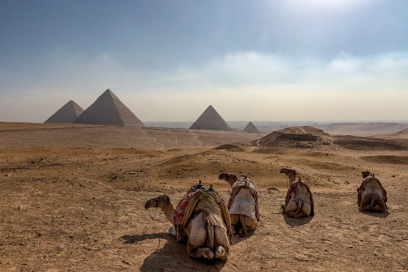 stock free/egypt general/egypt general 140 giza pyramids 53227964195 — أرخص وقت لزيارة مصر للخليجيين: المواسم والعروض 20