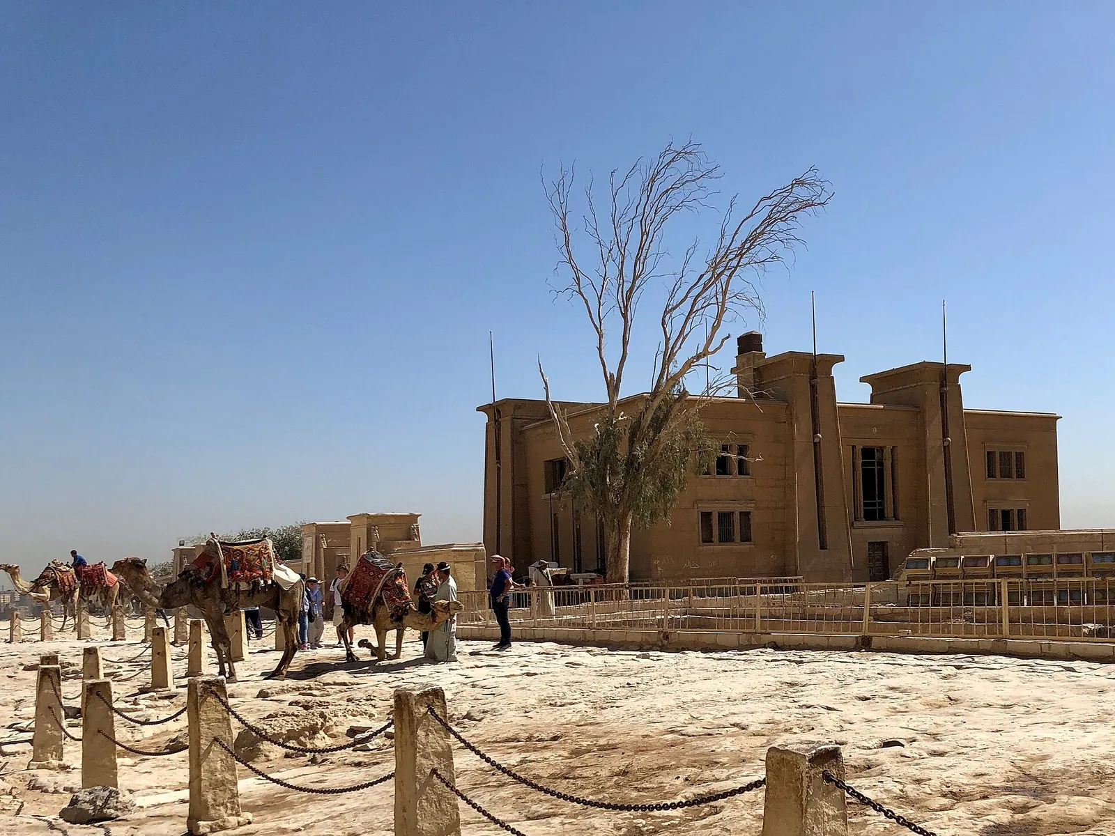 stock free/egypt general/egypt general 252 vacant building and camel rides great pyramid - Hurghada vs Marsa Alam Snorke