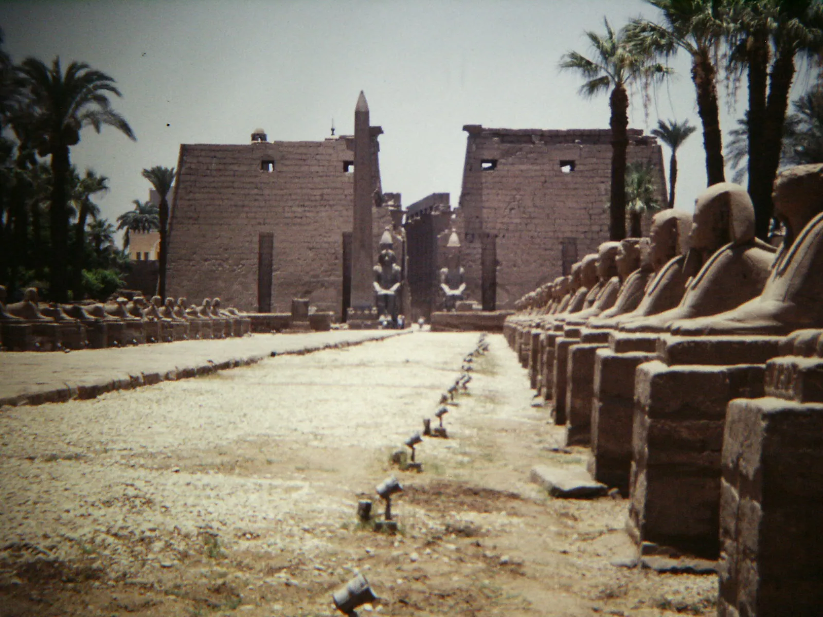 stock free/luxor/luxor 076 luxor temple avenue of sphinxes 9794753554 — برنامج شهر عسل الأقصر وأسوان 2026 للأزواج الخليج