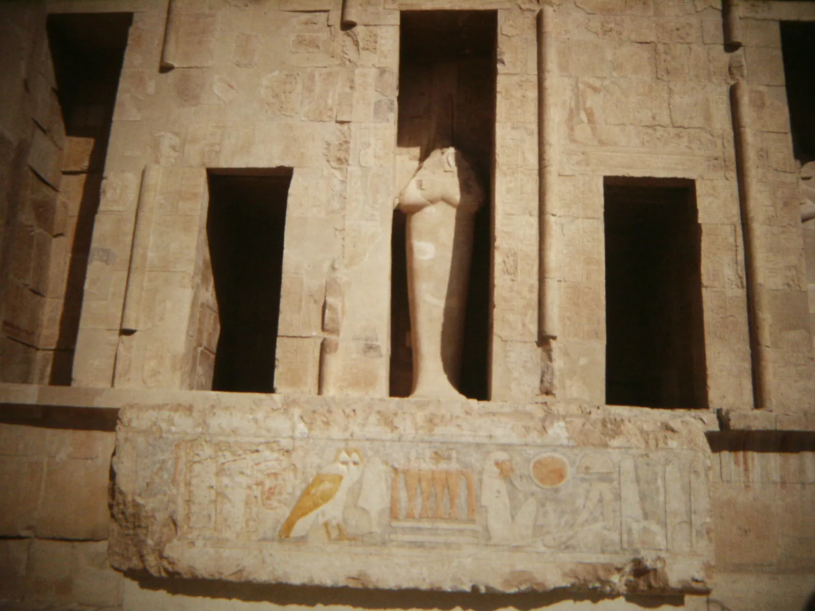 stock free/luxor/luxor 185 deir el bahri temple of hatshepsut 9794738704 - Hurghada vs Marsa Alam Snorkelling 2026: Whic