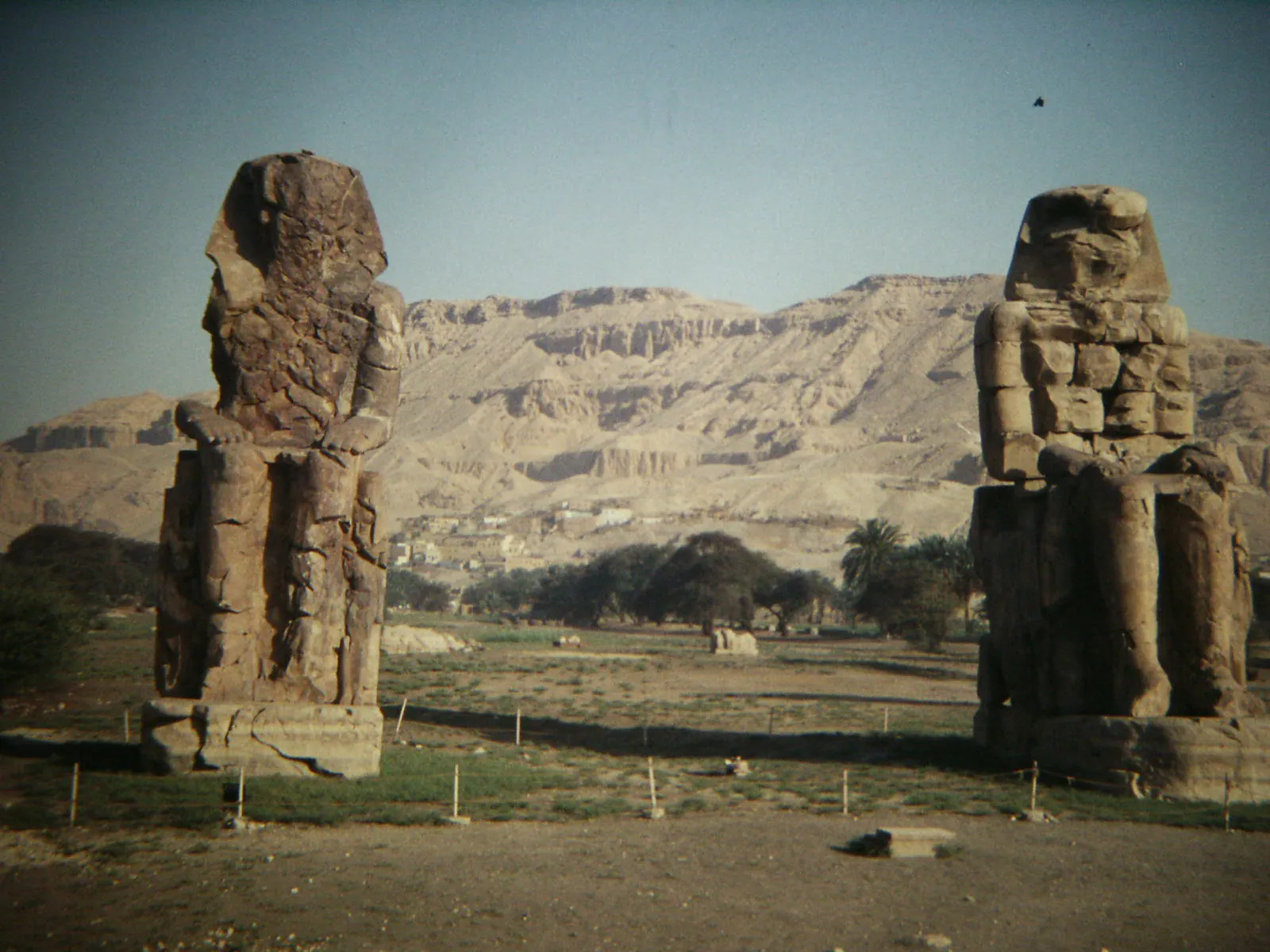stock free/luxor/luxor 199 colossi of memnon 9794769546 - Best Egypt Shore Excursions from Alexandria Port 2026
