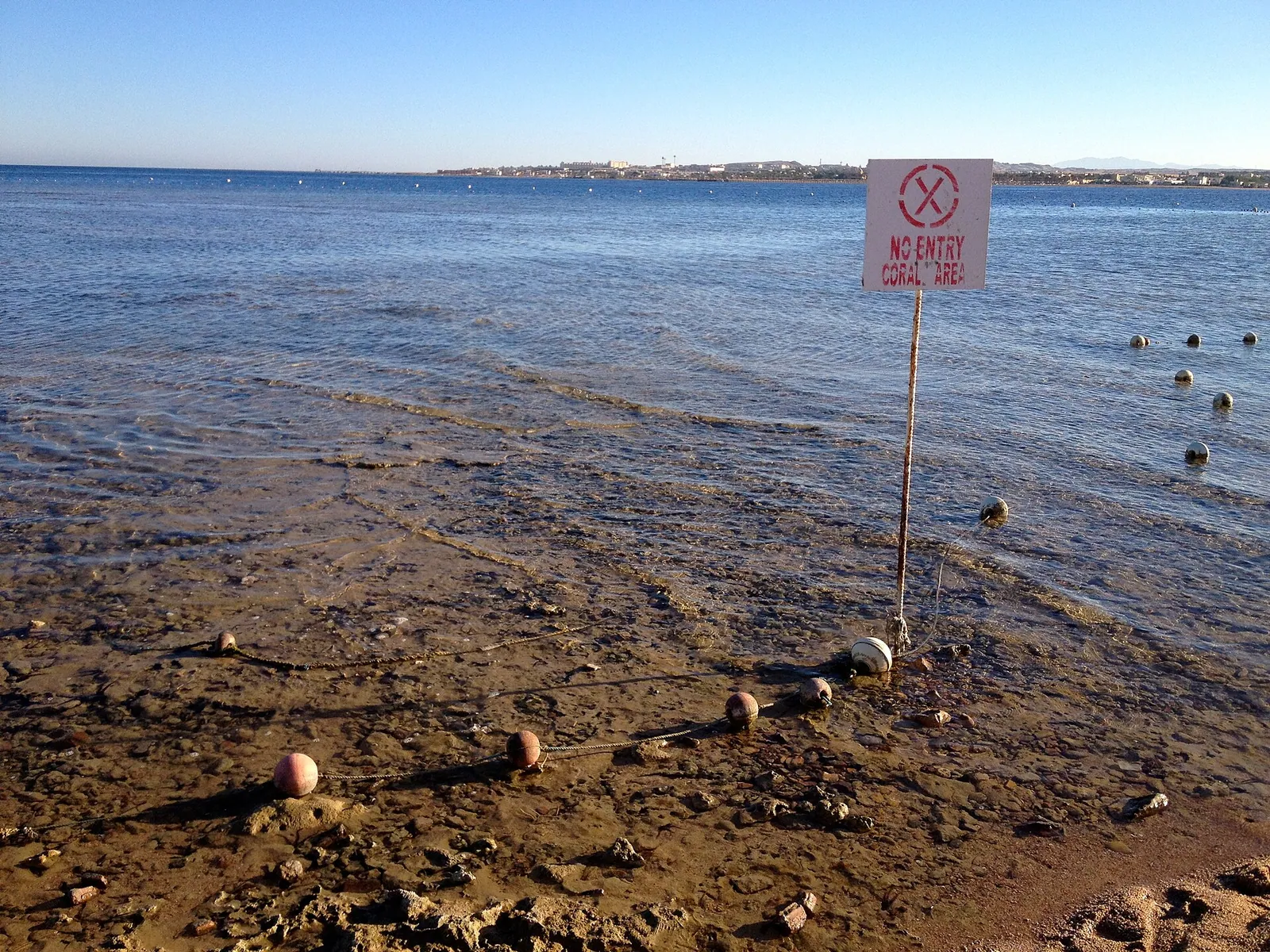 stock free/red sea/red sea 004 no entry coral area sign on makadi bay coast - Islamic & Coptic Cairo Combined Full 