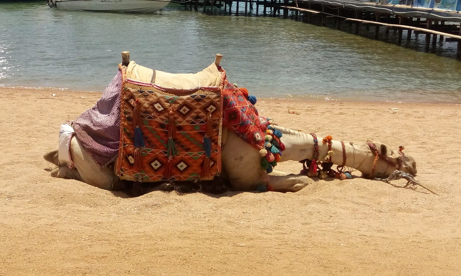 Viaje a Egipto desde México 2026: paquetes todo incluido y precio