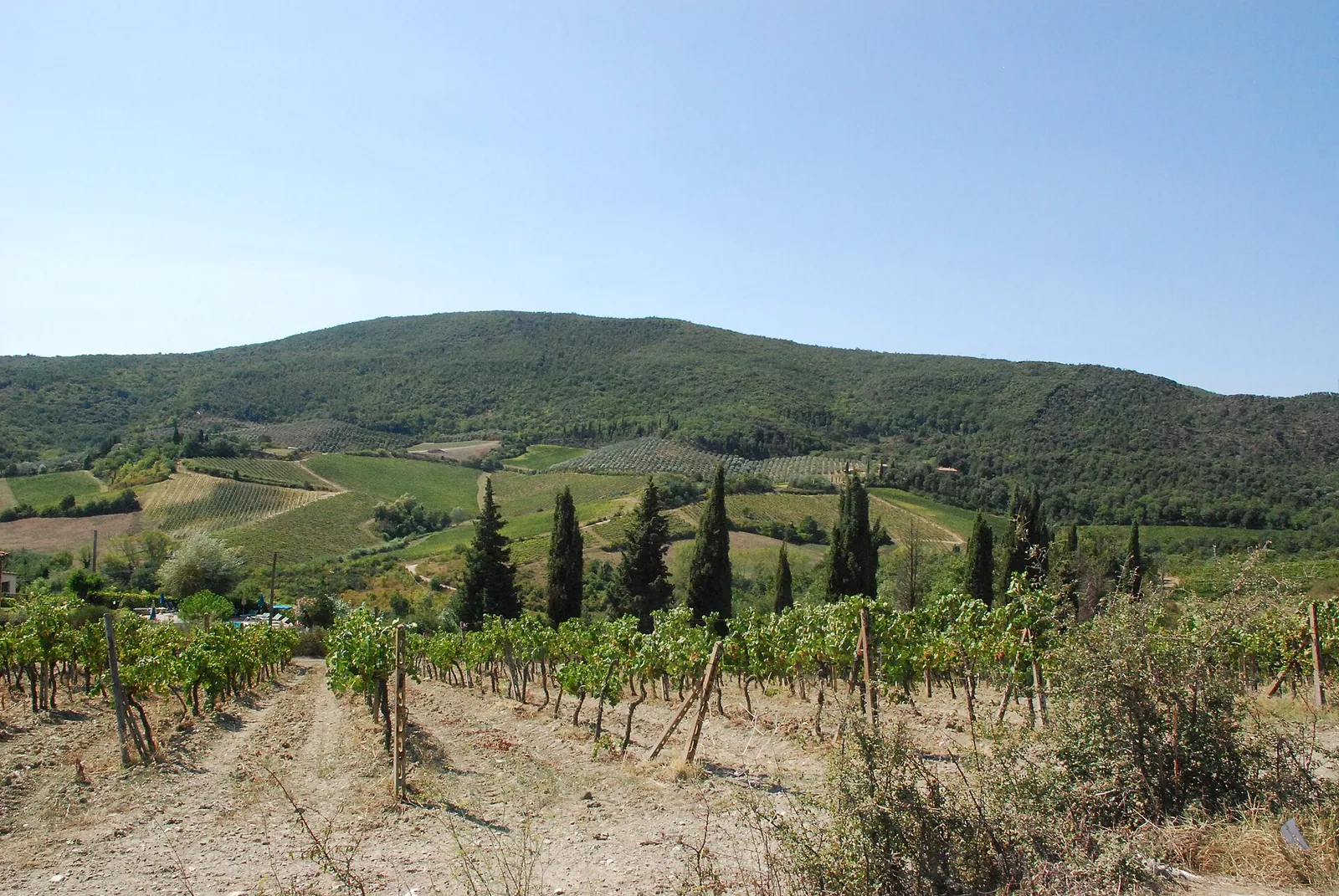 The Tuscan countryside