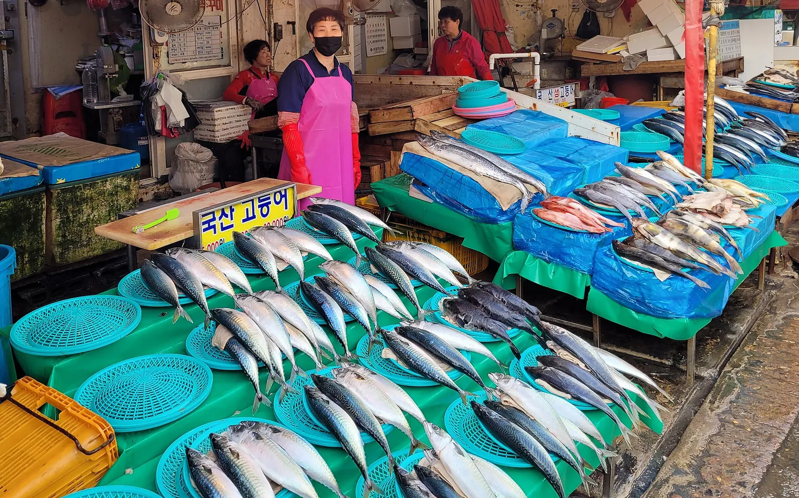 Jagalchi Market, Busan