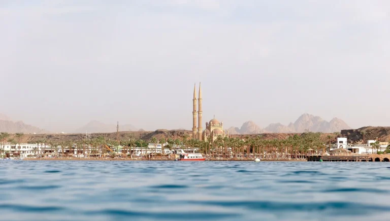 Marsa Alam Diving Guide 2026: Best Sites, Marine Life & Tips