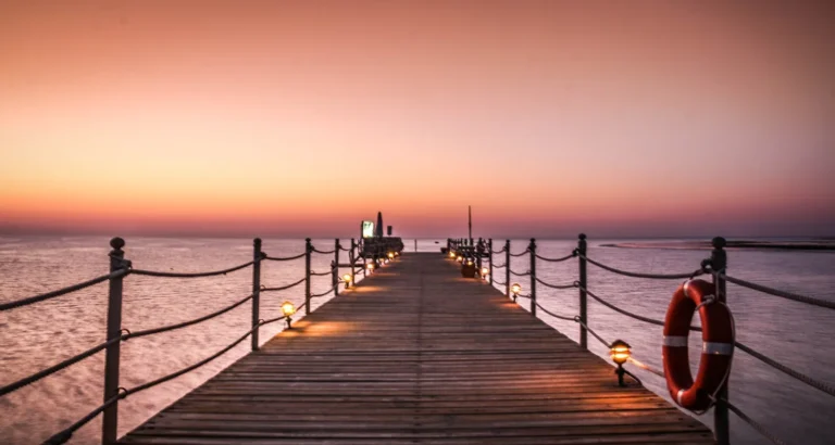 Red Sea Liveaboard Diving Safari Trips 2026 – Egypt Guide