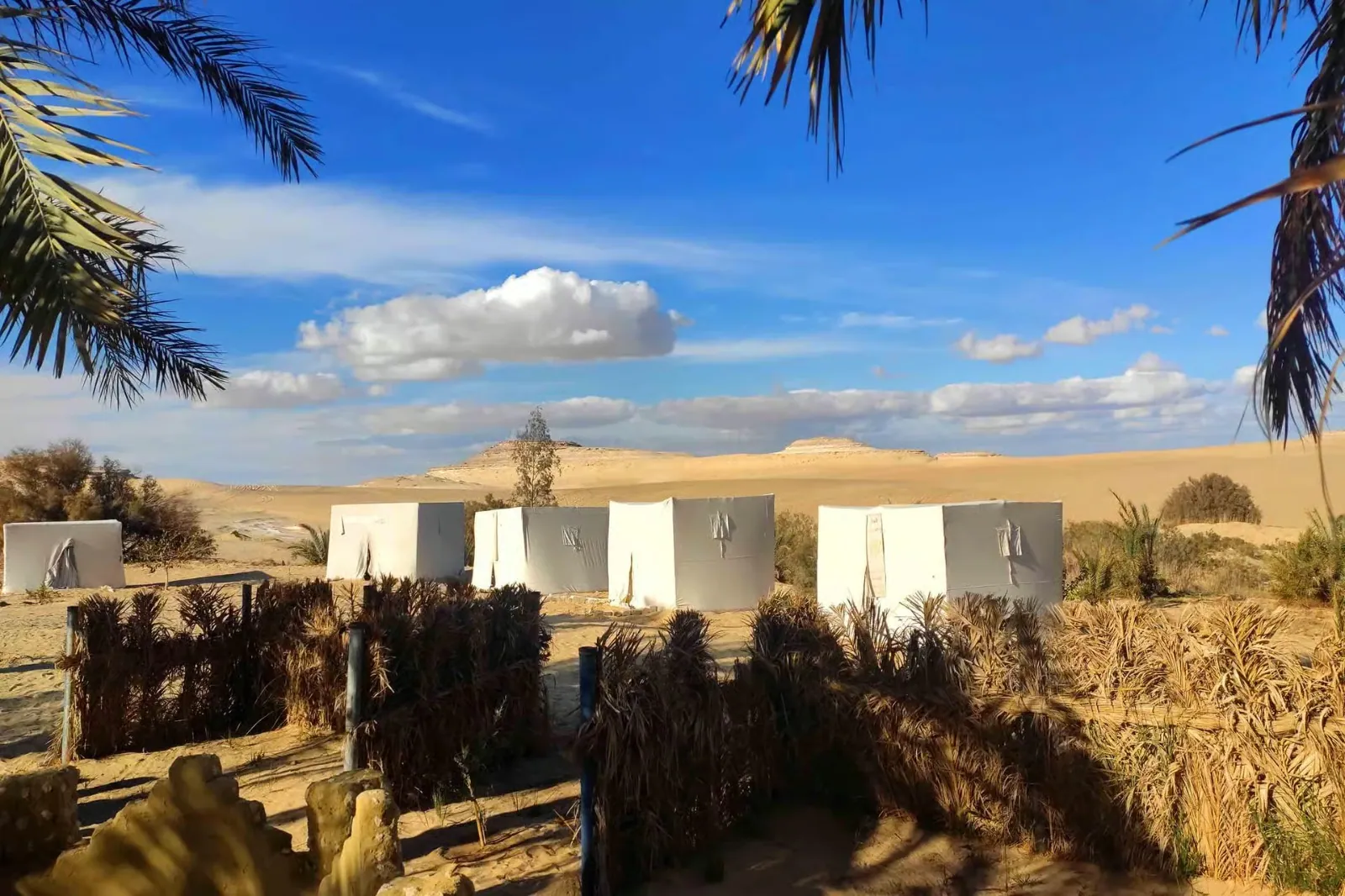 The Bedouin desert camp
