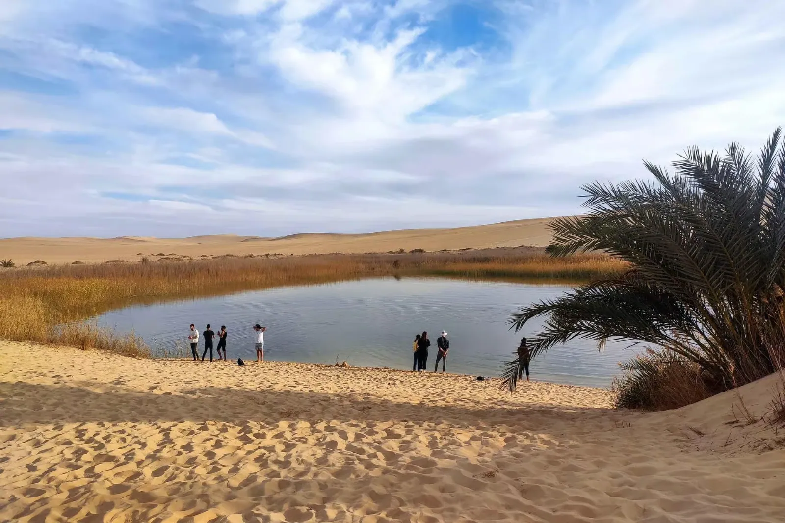 A desert lake in Siwa Oasis