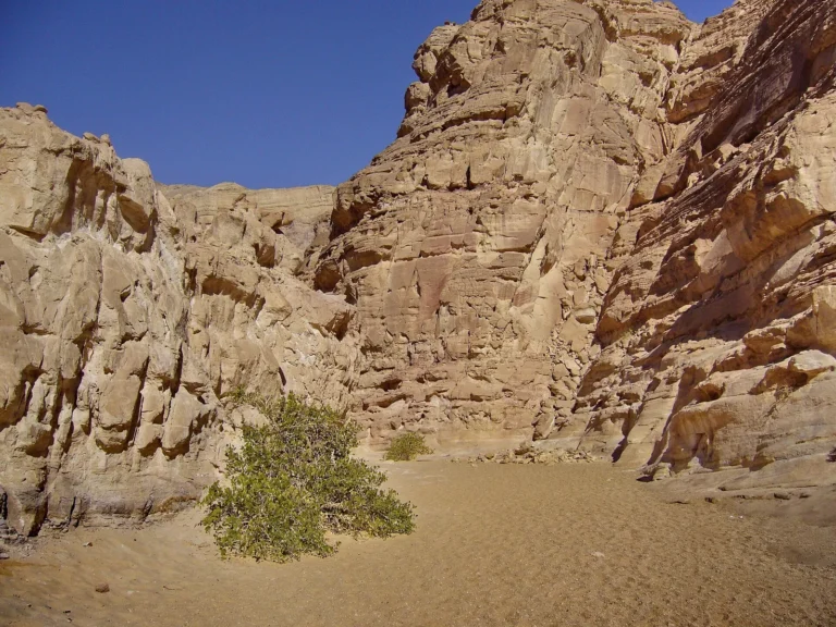 Sandstone walls of a canyon in the South Sinai desert