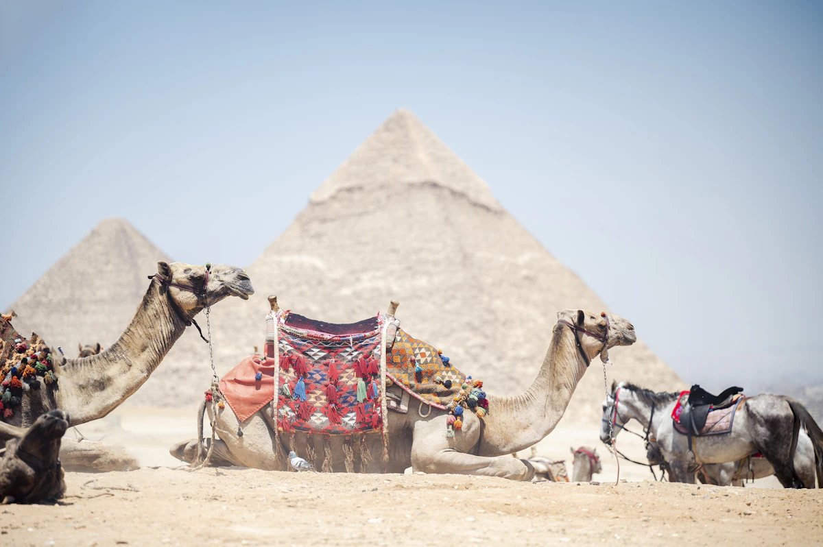 رحلات تركيا للمصريين